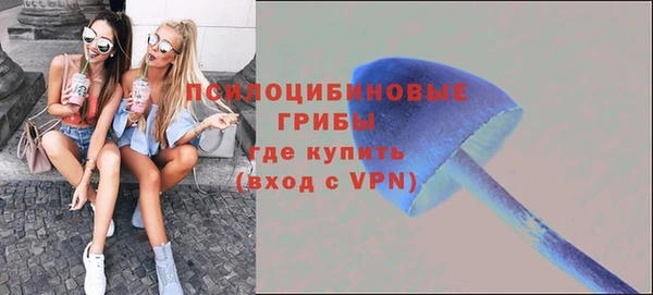 МДПВ Алексин