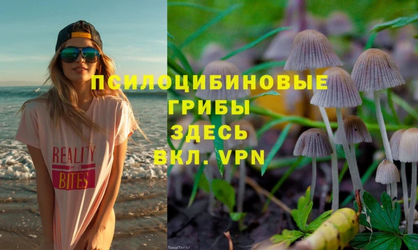 мдпв Алзамай