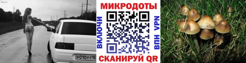 Галлюциногенные грибы Cubensis  Купить закладки  Сургут 